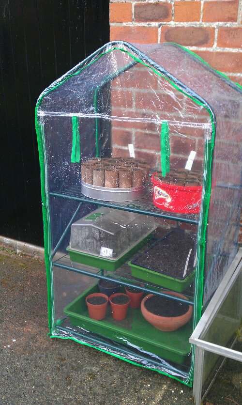 Mini greenhouse from the local pound shop
