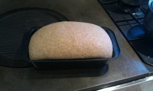 dough risen in the loaf tin before going in the oven