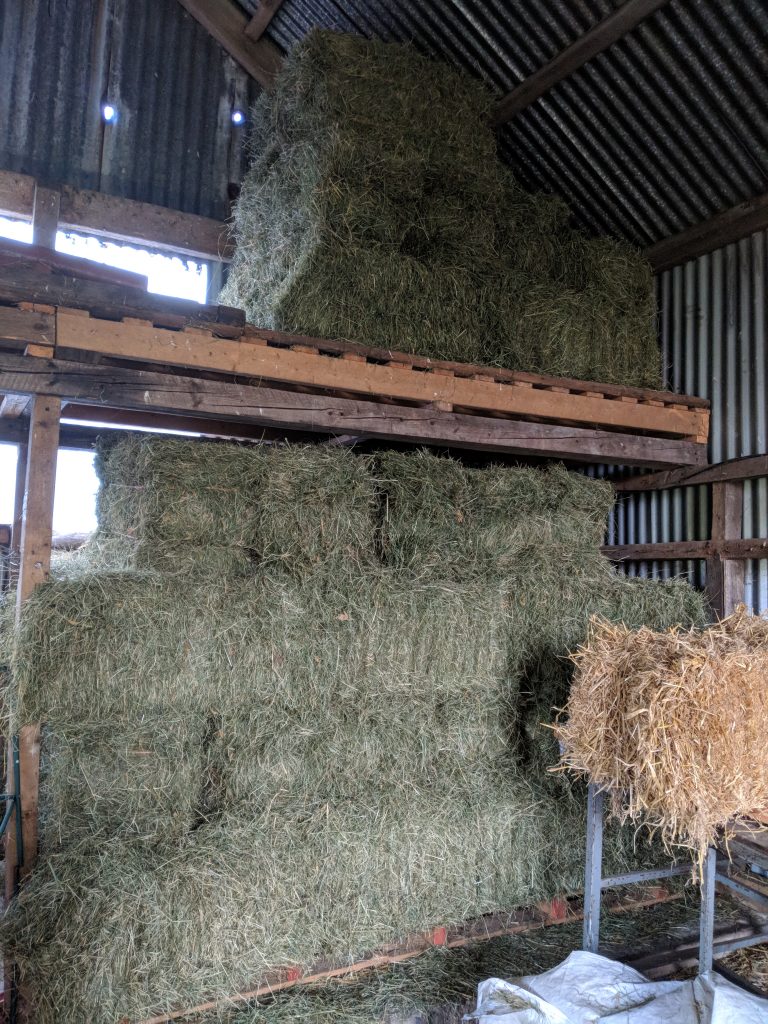 Part of the hay inside the barn