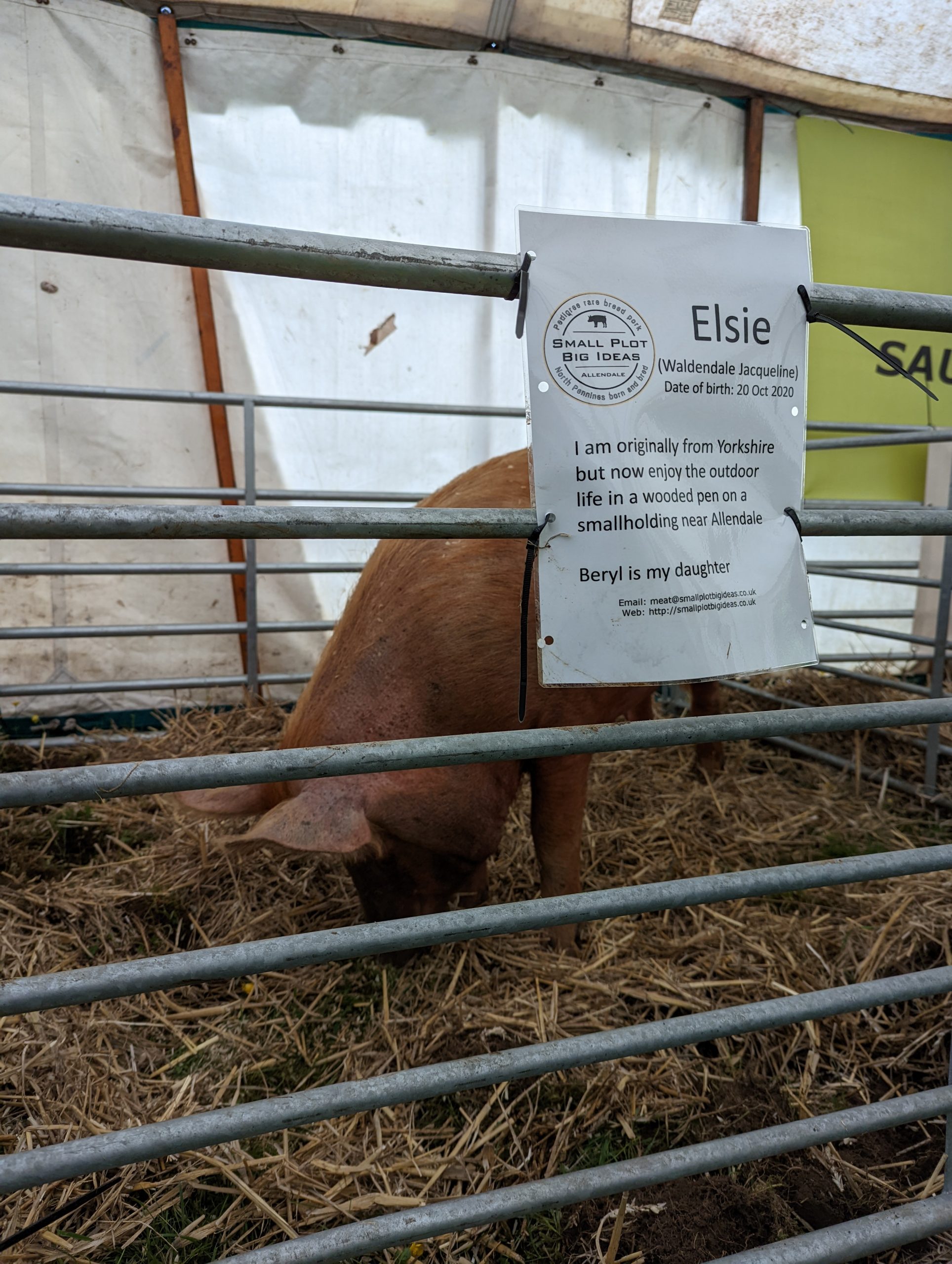 Small Plot, Big Ideas Making the most of what I have