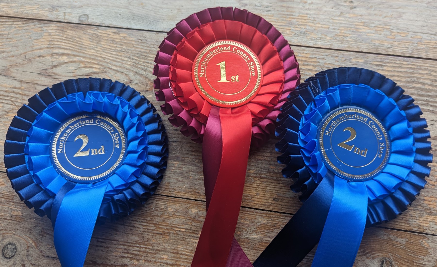 More rosettes at Northumberland County Show 2023 – Small Plot, Big Ideas